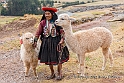 2663 Quechua woman with Llamas